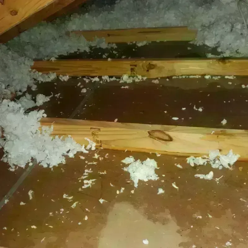 Attic Water Damage in Titus County, TX